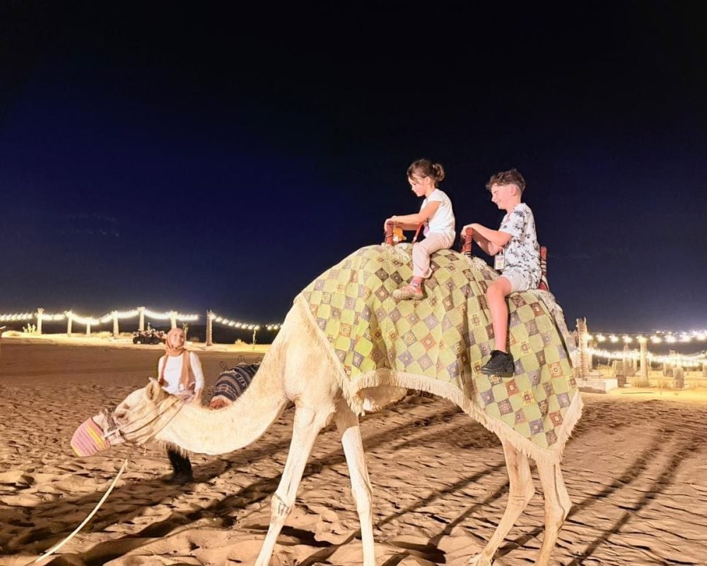 WhatsApp Image 2025-08-21 at 7.30.58 PM